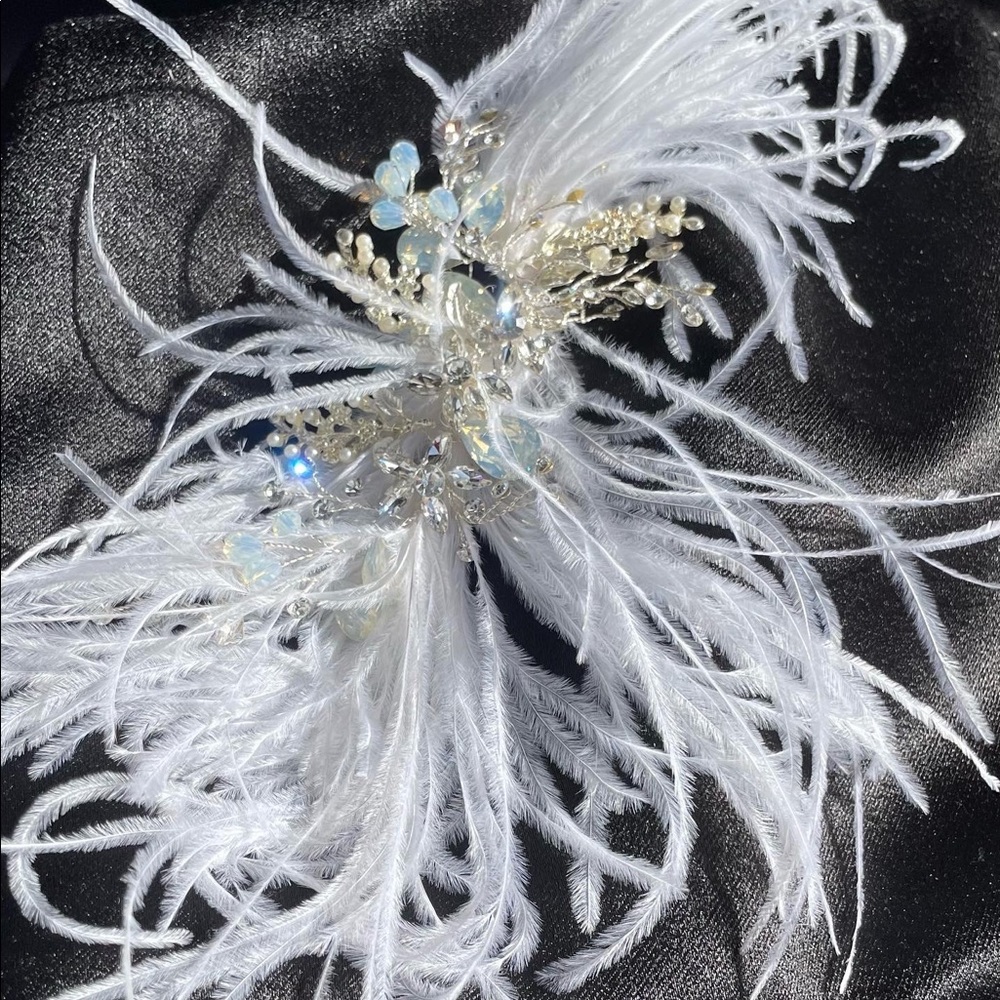 Head Feather accessorie
